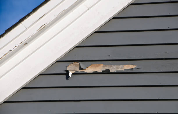 Best Property Management Cleanouts  in Redwood Valley, CA